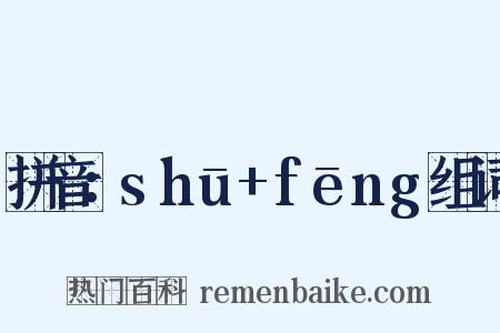拼音：shū+fēng组词是什么意思的图片